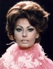 sophia loren / #509233