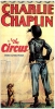 the circus / #498101