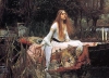 the lady of shalott / #355916