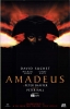 amadeus