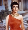 elizabeth taylor / #512488