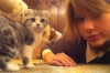 meredith