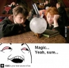 magic / #430845