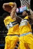 javale mcgee