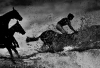 world press photo 2013 / #475353