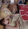aslan yattığı yerden belli olur / #468935