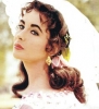 elizabeth taylor / #512492