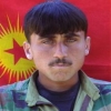 ofisteki tüm kızları götüren mavi gözlü kaslı kürt / #343005