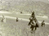 bir askerin eşeğe olan saygısı / #511953