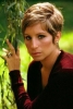 barbra streisand