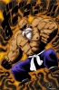 muten roshi