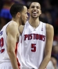 austin daye / #369318