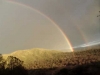 double rainbow / #359034