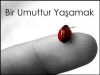 umut tüccarları / #456516