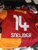wesley sneijder
