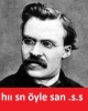 nietzsche nin son yazılarının saçma olması / #437385