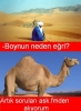 boynun neden egri / #346061