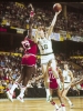 dave cowens