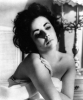 elizabeth taylor / #512515