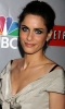 amanda peet