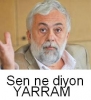 dubleks evdeki akıllara zarar mantık hatası / #391440