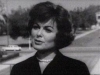 barbara hale / #349124