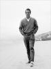 paul newman