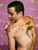 steve o