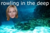 rowling in the deep / #372597