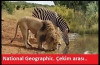 national geographic