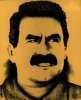 öcalan ın heykelini dikeceğiz diyen milletvekili / #347682