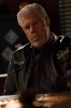 ron perlman