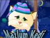 mart ayının son saatlerine bakir giren kedi / #417345