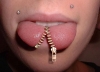 zipper piercing