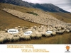 bir kemaliste usulca sokulup koyduk mu demek / #401200