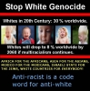 stop white genocide