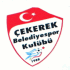 çekerek belediyespor / #361285