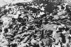 adolf hitler in sivil katliamları / #382182