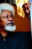 akinwande oluwole soyinka / #397151