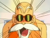 muten roshi