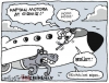 yetenek sizsiniz e çıkan at / #496295